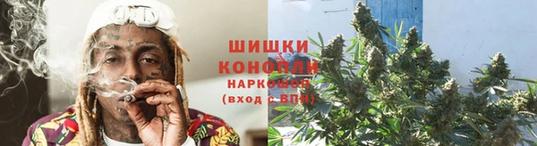 mix Инта