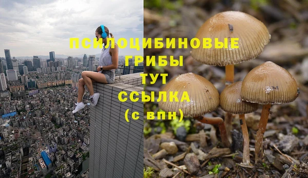 jwh Иннополис