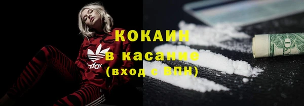 мет Инсар