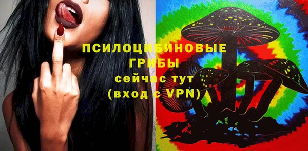 mix Инта