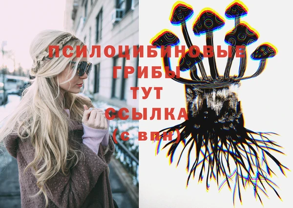 mix Инта