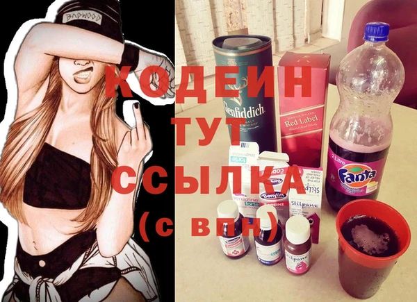 mix Инта