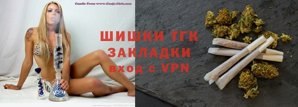 mix Инта