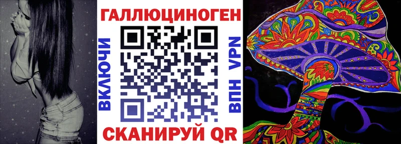 Псилоцибиновые грибы Psilocybe  Купить закладки  Балахна 